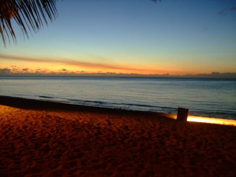 Mauritius 2010 - 0219 